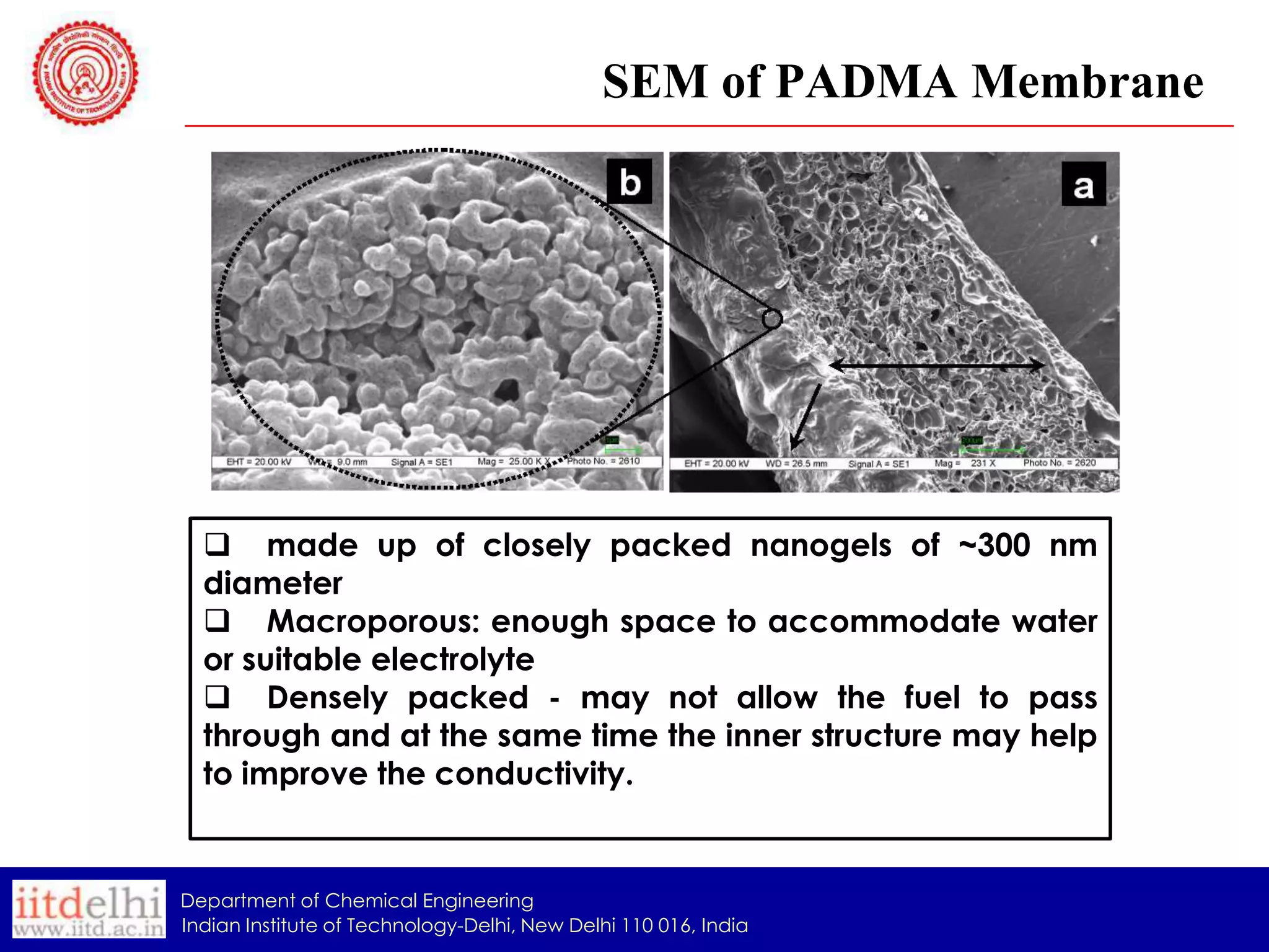 SEM of PADMA Membrane

 made up of closely packed nanogels of ~300 nm
diameter
 Macroporous: enough space to accommodate water
or suitable electrolyte
 Densely packed - may not allow the fuel to pass
through and at the same time the inner structure may help
to improve the conductivity.

Department of Chemical Engineering
Indian Institute of Technology-Delhi, New Delhi 110 016, India

 
