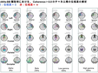 Left
Right
Frontal
Parietal
Occipital
Alpha
9Hz
Beta
23Hz
Low gamma
40Hz
Attend Ignore Attend Ignore Attend Ignore Attend Ignore
High gamma
80Hz
.44Hz-BB 聴取時における、 Coherence > 0.8 のチャネル間の位相差の解析
青：位相差＝０　赤：位相差＝ π
 