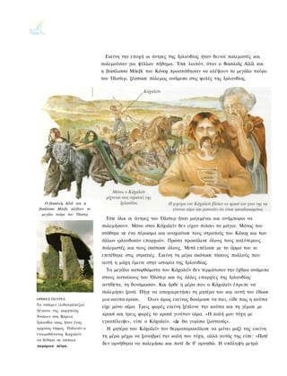 Εκείνη την εποχή οι άντρες της Ιρλανδίας ήταν δεινοί πολεμιστές και
                              πολεμούσαν για ψύλλου πήδημα. Έτσι λοιπόν7 όταν ο Βασιλιάς Αϊλίλ και
                              η βασίλισσα Μάεβε του Κόνοχ προσπάθησαν να κλέψουν το μεγάλο ταύρο
                              του Όλστερ, ξέσπασε πόλεμος ανάμεσα στις φυλές της Ιρλανδίας.




    Ο βασιλιάς Αϊλίλ και η
 βασίλισσα Μάεβε κλέβουν το
  μεγάλο ταύρο του Όλστερ
                                Τότε όλοι οι άντρες του Όλστερ ήταν μαγεμένοι και ανήμποροι να
                              πολεμήσουν. Μόνο στον Κάχαλεϊν δεν είχαν πιάσει τα μάγια. Μόνος του
                              στάθηκε σε ένα πέρασμα και αναχαίτισε τους στρατούς του Κόνοχ και των
                              άλλων ιρλανδικών επαρχιών. Πρώτα προκάλεσε όλους τους καλύτερους
                              πολεμιστές και τους σκότωσε όλους. Μετά επέλασε με το άρμα του κι
                              επιτέθηκε στις στρατιές. Εκείνη τη μέρα σκότωσε τόσους πολλούς που
                              αυτή η μάχη έμεινε στην ιστορία της Ιρλανδίας.
                                Τα μεγάλα κατορθώματα του Κάχαλεϊν δεν τερμάτισαν την έχθρα ανάμεσα
                              στους κατοίκους του Όλστερ και τις άλλες επαρχίες της Ιρλανδίας·
                              αντίθετα, τη δυνάμωσαν. Και ήρθε η μέρα που ο Κάχαλεϊν έπρεπε να
                              πολεμήσει ξανά. Πήγε να αποχαιρετήσει τη μητέρα του και αυτή του έδωσε
ΟΡΘΙΕΣ ΠΕΤΡΕΣ                 μια κουπα κρασι.   Όιαν όμως εκείνος δοκίμασε να πιει, είδε πως η κούπα
Το ντόλμεν (λιθοτράπεζα)
                              είχε μόνο αίμα. Τρεις φορές εκείνη ξέπλυνε την κούπα και τη γέμισε με
Λέγκανι της κομητείας
Ντάουν στη Βόρεια
                              κρασί και τρεις φορές το κρασί γινόταν αίμα. «Η καλή μου τύχη με
Ιρλανδία ίσως ήταν ένας       εγκατέλειψε», είπε ο Κάχαλεϊν. «Δε θα γυρίσω ζωντανός».
αρχαίος τάφος. Πιθανόν ο        Η μητέρα του Κάχαλεϊν τον θερμοπαρακάλεσε να μείνει μαζί της εκείνη
ετοιμοθάνατος Καχαλεϊν
                              τη μέρα μέχρι να ξαναβρεί την καλή του τύχη, αλλά αυτός της είπε: «Ποτέ
να δέθηκε σε κάποια
παρόμοια πέτρα.
                              δεν αρνήθηκα να πολεμήσω και ποτέ δε θ' αρνηθώ. Η υπόληψη μετρά
 