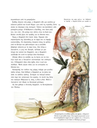 περισσότερο από τη μακροζωία».                                  Πηγαίνοντας στη μάχη μαζί με τον Κάθμπαντ
                                                                το δρυϊ'δη, ο Καχαλεϊν βλέπει μια νεράιδα να
 Καθώς πήγαινε στη μάχη, ο Καχαλεϊν είδε μια κοπέλα με
κόκκινα μαλλιά και λευκό δέρμα -μια από τις νεράιδες Σίντε να
                                                                                                  Κάθμπαντ
κλαίει το πέρασμα ενός ποταμού. Έπλενε και ξανάπλενε κάτι
ματωμένα ρούχα. Ο Κάθμπαντ ο δρυΐδης, που ήταν μαζί
του, του είπε: «Τα ρούχα που πλένει είναι τα δικά σου.
Κλαίει επειδή ξέρει ότι τραβάς για το θάνατο σου».
 Όμως ο Καχαλεϊν δεν έκανε πίσω. Όρμησε στα
στρατεύματα της Ιρλανδίας με το άρμα του κι έσφαξε
εκατοντάδες. Οι στρατιώτες έπεφταν όπως τα φύλλα
από τα δέντρα του φθινοπώρου και η κοιλάδα
βάφτηκε κόκκινη με το αίμα τους. Στο τέλος ο
Λουγκέιντ, ο γιος του Κουρόι, τρύπησε με μια
λόγχη την κοιλιά του Καχαλεϊν, και ο Καχαλεϊν
κατάλαβε ότι αυτό το τραύμα ήταν θανάσιμο.
  Ζήτησε άδεια να κατέβει ως τη λίμνη για να πιει
λίγο νερό και ο Λουγκέιντ ικανοποίησε την επιθυμία
του. Ο Καχαλεϊν πήγε στην όχθη, ήπιε νερό και
πλύθηκε. Μετά γύρισε πίσω για να αντικρίσει το
θάνατο του.
  Καταμεσής του πεδίου της μάχης υπήρχε μια μεγάλη
όρθια πέτρα. Εκεί δέθηκε ο Καχαλεϊν με τη ζώνη του
ώστε να πεθάνει όρθιος. Συνέχισε να πολεμά ώσπου
στον ώμο του κούρνιασε ένα κοράκι, το πουλί της θεάς
του πολέμου Μόριγκαν ή, ίσως, η ίδια η θεά. Μετά ο
Λουγκέιντ τού έδωσε το θανατερό χτύπημα.
  Κι έτσι χάθηκε ο δυνατός Καχαλεϊν, το Κυνηγόσκυλο
του Όλστερ.
 