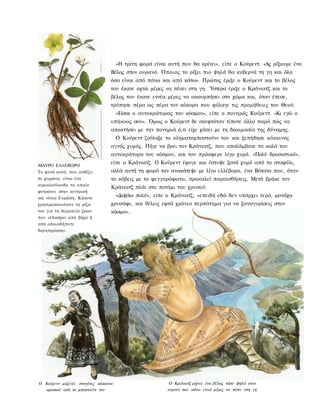 «Η τρίτη φορά είναι αυτή που θα κρίνει», είπε ο Κούρεντ. «Ας ρίξουμε ένα
                                 Βέλος στον ουρανό. Όποιος το ρίξει πιο ψηλά θα κυβερνά τη γη και όλα
                                 όσα είναι από πάνω και από κάτω». Πρώτος έριξε ο Κούρεντ και το βέλος
                                 του έκανε οχτώ μέρες να πέσει στη γη. Ύστερα έριξε ο Κράνιατζ και το
                                 βέλος του έκανε εννέα μέρες να ακουμπήσει στο χώμα και, όταν έπεσε,
                                 τρύπησε πέρα ως πέρα τον κόκορα που φύλαγε τις προμήθειες του Θεού.
                                      «Είσαι ο αυτοκράτορας του κόσμου», είπε ο πονηρός Κούρεντ. «Κι εγώ ο
                                 υπήκοος σου». Όμως ο Κούρεντ δε σκεφτόταν τίποτε άλλο παρά πώς να
                                 αποκτήσει με την πονηριά ό,τι είχε χάσει με τη δοκιμασία της δύναμης.
                                      Ο Κούρεντ ζούληξε το κληματομπαστούνι του και ξεπήδησε κόκκινος
                                 αγνός χυμός. Πήγε να βρει τον Κράνιατζ, που απολάμβανε τα καλά του
                                 αυτοκράτορα του κόσμου, και του πρόσφερε λίγο χυμό. «Πολύ δροσιστικό»,

ΜΑΥΡΟ ΕΛΛΕΒΟΡΟ
                                 είπε ο Κράνιατζ. Ο Κούρεντ έφυγε και έστυψε ξανά χυμό από το σταφύλι,
Το φυτό αυτό, που ανθίζει        αλλά αυτή τη φορά τον ανακάτεψε με λίγο ελλέβορο, ένα Βότανο που, όταν
το χειμώνα, είναι ένα            το κόβεις με το φεγγαρόφωτο, προκαλεί παραισθήσεις. Μετά βρήκε τον
αγριολούλουδο το οποίο
                                  Κράνιατζ πλάι στο ποτάμι του χρυσού.
φυτρώνει στην κεντρική
και νότια Ευρώπη. Κάποτε
                                      «Διψάω πολύ», είπε ο Κράνιατζ, «επειδή εδώ δεν υπάρχει νερό, μονάχα
χρησιμοποιούσαν τη ρίζα          χρυσάφι, και θέλεις εφτά χρόνια περπάτημα για να ξαναγυρίσεις στον
του για τη θεραπεία ζώων          κόσμο».
που «έπασχαν από βήχα ή
από οποιαδήποτε
δηλητηρίαση».




Ο Κούρεντ μαζεύει σταγόνες κόκκινου                        Ο Κράνιατζ ρίχνει ένα βέλος τόσο ψηλά στον
  κρασιού από το μπαστούνι του                            ουρανό που κάνει εννιά μέρες να πέσει στη γη
 