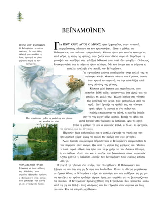 ΒΕΪΝΑΜΟΪΝΕΝ

ΓΕΝΝΑ MET' ΕΜΠΟΔΙΩΝ
Ο Βεϊναμόινεν γεννιέται
ενήλικος. Σε μια άλλη
                                  Γ    ΙΑ ΠΟΛΥ ΚΑΙΡΟ ΑΥΤΟΣ Ο ΜΥΘΟΣ ήταν ξεχασμένος στην παγωνιά,
                                       περιμένοντας κάποιον να τον τραγουδήσει. Είναι ο μύθος του
                                  Βεϊναμόινεν, του αιώνιου τραγουδιστή. Κάποτε ήταν μια κοπέλα φτιαγμένη
εκδοχή, μια κοπέλα, η
Άινο, προτιμά να γίνει            από αέρα, η κόρη της φύσης, που ζούσε στον άδειο ουρανό. Βαρέθηκε τη
γοργόνα παρά να τον               μοναξιά και κατέβηκε στη γαλάζια θάλασσα που ποτέ δεν ησυχάζει. Ο άνεμος
      παντρευτεί.                 λυσσομανούσε και τα κύματα ήταν πελώρια. Με τον άνεμο και τα κύματα η
                                              κοπέλα συνέλαβε ένα παιδί, τον Βεϊναμόινεν.
                                                              Για εφτακόσια χρόνια κουβαλούσε στην κοιλιά της το
                                                                αγέννητο παιδί. Μάταια ικέτευε τον Γέροντα, αυτόν
                                                                  που κρατά τον ουρανό, να την απαλλάξει από
                                                                  τους πόνους της γέννας.
                                                                    Κάποια μέρα έφτασε μια αγριόπαπια, που
                                                                πετούσε δώθε-κείθε, γυρεύοντας ένα μέρος για να
                                                                 φτιάξει τη φωλιά της. Τελικά κάθισε στο γόνατο
                                                                  της κοπέλας του αέρα, που ξεπρόβαλλε από το
                                                                  νερό. Εκεί έφτιαξε τη φωλιά της και γέννησε
                                                                   εφτά αβγά: έξι χρυσά κι ένα σιδερένιο.
                                                                   Καθώς επωάζονταν τα αβγά, η κοπέλα ένιωθε
      Μια αγριόπαπια χτίζει τη χρωλιά της στο γόνατο
                                                               σαν να της είχαν βάλει φωτιά. Τίναξε τα αβγά και
                 της κοπέλας τον αέρα                       αυτά έπεσαν στη θάλασσα κι έσπασαν. Από τα αβγά
                                                       βγήκε η μητέρα γη και ο ουρανός ψηλά, ο ήλιος, το φεγγάρι,
                                        τα αστέρια και τα σύννεφα.
                                           Πέρασαν δέκα καλοκαίρια και η κοπέλα έφτιαξε τα νησιά και την
                                        ηπειρωτική χώρα· όμως το παιδί της ακόμη δεν είχε γεννηθεί.
                                          Άλλα τριάντα καλοκαίρια πέρασαν και ο Βεϊναμόινεν αναρωτιόταν τι
                                        τον περίμενε στον κόσμο, έξω από τη μήτρα της μητέρας του. Ώσπου
                                        τελικά, αφού κάλεσε τον ήλιο και το φεγγάρι να του δώσουν δύναμη,
                                        λευτερώθηκε μόνος του και η μητέρα του ξαναγύρισε στους ουρανούς.
                                        Οχτώ χρόνια η θάλασσα λίκνιζε τον Βεϊναμόινεν πριν εκείνος φτάσει
                                        στη γη.
ΦΙΛΛΑΝΔΕΖΙΚΗ ΦΥΣΗ                   Η γυμνή γη γέννησε ένα αγόρι, τον Πελερβόινεν. Ο Βεϊναμόινεν του
Σύμφωνα με τους μύθους
                                  ζήτησε να σπείρει στη γη δέντρα και λουλούδια. Όταν τα δέντρα μεγάλωσαν
της Καλεβάλα,   που
σημαίνει «Πατρίδα Ηρώων»,
                                  κι έγιναν δάση, ο Βεϊναμόινεν πήρε το τσεκούρι του και καθάρισε τη γη για
ο Βεϊναμόινεν είναι αυτός         να φυτέψει το πρώτο κριθάρι· άφησε όμως μια σημύδα για να ξεκουράζονται
που μετέτρεψε την άγονη           τα πουλιά. Ο Βεϊναμόινεν προσευχήθηκε στη Γερόντισσα που βρίσκεται κάτω
γη σε δεντρόφυτο τοπίο.
                                  από τη γη να θρέψει τους σπόρους και τον Γέροντα στον ουρανό να τους
                                  ποτίσει. Και τα σπαρτά μεγάλωσαν.
 