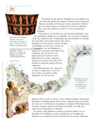 Η εκδίκηση του Δία κατά του Προμηθέα και των ανθρώπων για
                                         την κλοπή της φωτιάς ήταν τρομερή. Διέταξε το χωλό σιδηρουργό
                                        Ήφαιστο να φτιάξει από πηλό μια γυναίκα, όμορφη σαν αθάνατη
                                       θεά, που όμως θα έφερνε τη δυστυχία στο γένος των ανθρώπων.
                                       Όλοι οι θεοί την προίκισαν με δώρα· γΓ αυτό και ονομάστηκε
                                      Πανδώρα.
                                       Ο Δίας χάρισε την Πανδώρα όχι στον προνοητικό Προμηθέα, αλλά
                                 στον αργόστροφο αδελφό του, τον Επιμηθέα, που το όνομα του σημαίνει
Το ΚΟΥΤΊ Τ Η ς ΠΑΝΔΩΡΑς
                              «αυτός που σκέφτεται μετά». Ο Προμηθέας είχε προειδοποιήσει τον αδελφό
Ελληνικό αγγείο όπου
απεικονίζεται η Πανδώρα να    του να μη δεχτεί κανένα δώρο από τον Δία, αλλά ο
δέχεται τα δώρα των θεών.     Επιμηθέας είχε τόσο μαγευτεί από την ομορφιά
Η Αθηνά τής εμφύσησε ζωή,     της Πανδώρας που την έκανε γυναίκα του.
                                        Ο Επιμηθέας, που είχε Βοηθήσει τον
η Αφροδιτη της δωρισε την ομορφιά της, ο Απόλλωνας
της χάρισε μουσικό                  αδελφό του να μοιράσει πολλά δώρα στους
ταλέντο και ο Ερμής τής
δίδαξε την κατεργαριά. Η            ανθρώπους, είχε στο σπίτι του ένα
Πανδώρα είχε όλα τα
                                    σφραγισμένο κουτί μέσα στο οποίο
αντιφατικά χαρακτηριστικά
                              βρίσκονταν όλα τα κακά - αρρώστιες,
της ανθρωπινης φυσης.         γηρατειά και αμαρτίες. Όλα αυτά οι δύο
                              αδελφοί τα κρατούσαν μακριά από τους
                              ανθρώπους.
                                Η Πανδώρα φλεγόταν από περιέργεια
                              να μάθει τι υπήρχε μέσα σ' εκείνο το
                              κουτί, ώσπου μια μέρα δεν άντεξε.
                              Ξεσφράγισε το κουτί και τότε




                              ξεχύθηκαν όλα τα κακά που φέρνουν στους ανθρώπους Βάσανα και δυστυχία.
                              Τρομαγμένη η Πανδώρα έκλεισε ξανά το κουτί, αφήνοντας μόνο ένα πράγμα
                              στον πάτο του: την Ελπίδα που της φώναζε να τη Βγάλει. Η Ήανδώρα άκουσε
                              την αχνή, λυπημένη κραυγή και λευτέρωσε την Ελπίδα, που ήρθε στον
                              κόσμο για να παρηγορήσει τον άνθρωπο.
                                Στο μεταξύ ο Δίας σχεδίασε μια ακόμη πιο σκληρή εκδίκηση για τον
                              Προμηθέα. Τον καταδίκασε να μένει αλυσοδεμένος σε ένα Βράχο στον
                              Καύκασο και να υποφέρει από τον καυτό ήλιο και την παγωνιά. Κάθε μέρα
 