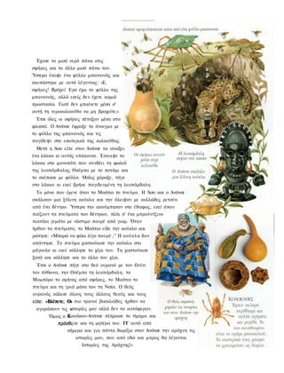 Έχυσε το μισό νερό πάνω στις
σφήκες και το άλλο μισό πάνω του.
Ύστερα έκοψε ένα φύλλο μπανανιάς και
σκεπάστηκε με αυτό λέγοντας: «Ε,
σφήκες! Βρέχει! Εγώ έχω το φύλλο της
μπανανιάς, αλλά εσείς δεν έχετε καμιά
προστασία. Γιατί δεν μπαίνετε μέσα σ'
αυτή τη νεροκολοκύθα να μη βραχείτε;»
 Έτσι όλες οι σφήκες πέταξαν μέσα στο
φλασκί. Ο Ανάνσε έφραξε το άνοιγμα με
το φύλλο της μπανανιάς και τις
παγίδεψε στο εσωτερικό της κολοκύθας.
 Μετά η Άσο είπε στον Ανάνσε να ανοίξει
ένα λάκκο κι αυτός υπάκουσε. Έσκαψε το
λάκκο στο μονοπάτι που συνδέει τη φωλιά
της λεοπάρδαλης Οσέμπο με το ποτάμι και
το σκέπασε με φύλλα. Μόλις χάραξε, πήγε
στο λάκκο κι εκεί βρήκε παγιδευμένη τη λεοπάρδαλη.
 Το μόνο που έμενε ήταν το Μοάτια το πνεύμα. Η Άσο και ο Ανάνσε
σκάλισαν μια ξύλινη κούκλα και την άλειψαν με κολλώδες ρετσίνι
από ένα δέντρο. Ύστερα την ακούμπησαν στο έδαφος, εκεί όπου
παίζουν τα πνεύματα των δέντρων, πλάι σ' ένα μπρούντζινο
πιατάκι γεμάτο με νόστιμο πουρέ από γιαμ. Όταν
ήρθαν τα πνεύματα, το Μοάτια είδε την κούκλα και
ρώτησε: «Μπορώ να φάω λίγο πουρέ·," Η κούκλα δον
απάντησε. Το πνεύμα χαστούκισε την κούκλα στο
μάγουλο κι εκεί κόλλησε το χέρι του. Τη χαστούκισε
ξανά και κόλλησε και το άλλο του χέρι.
  Έτσι ο Ανάνσε πήγε στο θεό ουρανό με τον Ονίνι
τον πύθωνα, την Οσέμπο τη λεοπάρδαλη, το
Μομπόρο το σμήνος από σφήκες, το Μοάτια το
πνεύμα και τη γριά μάνα του τη Νσία. Ο θεός
ουρανός κάλεσε όλους τους άλλους θεούς και τους
είπε: «Βλέπετε; Οι πιο τρανοί βασιλιάδες ήρθαν να
                Οι
               ιστορίες μου αλλά δεν τα κατάφεραν.
 αγοράσουν τις κ
      Όμως ο ΚΚουάκου-Ανάνσε πλήρωσε το τίμημα και
           πρόσθεσε και τη μητέρα του. ΓΓ αυτό από
           πρόσθ,
              σήμερα και για πάντα δωρίζω στον Ανάνσε την αράχνη τις
                   ιστορίες μου, που από εδώ και μπρος θα λέγονται
                     Ιστορίες της Αράχνης!»
 