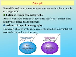 Principle
Reversible exchange of ions between ions present in solution and ion
exchange resin.
Cation exchange chromatography:
Positively charged proteins are reversibly adsorbed to immobilized
negatively charged beads/polymers.
Anion exchange chromatography:
Negatively charged proteins are reversibly adsorbed to immobilized
positively charged beads/polymers.
4
 