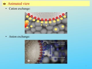 Animated view
• Cation exchange:
• Anion exchange:
5
 