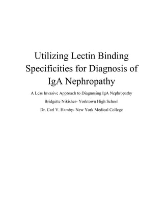 Utilizing Lectin Binding
Specificities for Diagnosis of
IgA Nephropathy
A Less Invasive Approach to Diagnosing IgA Nephropathy
Bridgette Nikisher- Yorktown High School
Dr. Carl V. Hamby- New York Medical College
 