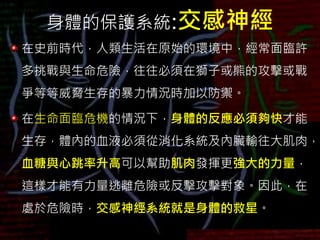 身體的保護系統:交感神經
在史前時代，人類生活在原始的環境中，經常面臨許
多挑戰與生命危險，往往必須在獅子或熊的攻擊或戰
爭等等威脅生存的暴力情況時加以防禦。
在生命面臨危機的情況下，身體的反應必須夠快才能
生存，體內的血液必須從消化系統及內臟輸往大肌肉，
血糖與心跳率升高可以幫助肌肉發揮更強大的力量，
這樣才能有力量逃離危險或反擊攻擊對象。因此，在
處於危險時，交感神經系統就是身體的救星。
 