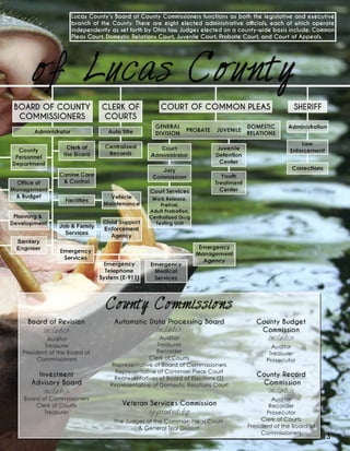 13
Lucas County’s Board of County Commissioners functions as both the legislative and executive
branch of the County. There are eight elected administrative officials, each of which operate
independently as set forth by Ohio law. Judges elected on a county-wide basis include: Common
Pleas Court, Domestic Relations Court, Juvenile Court, Probate Court, and Court of Appeals.
 