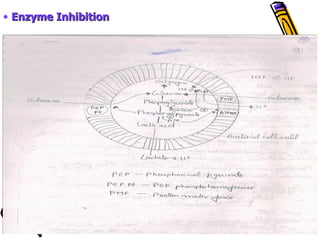 • Enzyme Inhibition
 