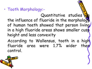 • Tooth Morphology:-
                    Quantitative studies on
  the influence of fluoride in the morphology
  of human teeth showed that person living
  in a high fluoride areas shows smaller cusp
  height and less convexity
  According to Wallensus, tooth in a high
  fluoride area were 1.7% wider then
  control.
 