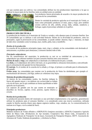 con que cuentan para sus cultivos. Las comunidades definen las tres producciones importantes a la que se
dedican la mayor parte de las familias; tanto en calidad como en cantidad.
Los productos fueron priorizados de acuerdo a la mayor producción de
cada una de las comunidades.
Dentro la variedad de productos agrícolas en el municipio de Yotala, se
tiene como principales productos al maíz, papa y trigo, pero también
existen cultivos de alfa, cebolla, arveja, haba, cebada, zanahoria y
lechuga; según el porcentaje señalado en el gráfico.
PRODUCCIÓN FRUTÍCOLA
La producción de frutales en el municipio de Yotala es variada y sólo abastece para el consumo familiar. Son
28 comunidades que se dedican a esta actividad frutícola. Dentro de la diversidad de productos, entre los
principales, según la priorización en las comunidades, se puede señalar: durazno, higo y manzana, sin dejar
de lado otras variedades como la naranja, nuez, tumbo, palta, tuna y membrillo.
Destino de la producción
La cosecha de los productos principales (papa, maíz, trigo y cebada), en las comunidades está destinada al
autoconsumo, se produce para almacenar y consumir durante todo el año.
Principales subproductos
Por las características del municipio, la producción es casi en su totalidad de autoconsumo y los
subproductos que obtienen también son para consumo familiar entre estos tenemos:
Harina de maíz y trigo, este subproducto es destinado a la elaboración de pan y comida..
La chala, es el subproducto del cultivo del maíz, en su generalidad se almacena rústicamente y está utilizado
para la alimentación del ganado bovino básicamente.
El rastrojo. Es el residuo de la cosecha de la cebada y el trigo, el primero es utilizado para la alimentación
del ganado.
Frutas secas; las comunidades que cuentan con la producción de frutas las deshidratan, por ejemplo el
mochochinchi del durazno y del higo, ambos en volúmenes muy bajos.
Sistema de producción pecuario
Al interior de las comunidades rurales, las familias trabajan la
fuerza del ganado mayor; y no dedican con exclusividad su trabajo
a la cría de éstos, por lo que combinan en forma equilibrada su labor
agrícola con la pecuaria.
Las especies de ganado con las que cuenta en municipio se
describen en: bovino, caprino, ovino, porcino, equino (burro) y
avícola.
Destino de la producción
La producción pecuaria dentro del municipio es una actividad complementaria a las agrícolas, generalmente
utilizan los productos para el consumo familiar; y es considerado como una reserva económica, utilizada
cuando la familia necesita dinero para alguna urgencia médica, viaje, estudios, etc. La comercialización la
realizan en el lugar, o en la cuidad de Sucre.
Principales productores
Módulos lecheros de Yotala afiliados a ADEPLECH; Granjeros asociados a ADACH; Cooperativa Agrícola
Señor de Maica Ltda. (Productores de Api morado); Cooperativa San; Bruno Ltda., (Cooperativa de
Agregados); Sindicato de Transporte 1ro de mayo; Asociación de Transporte Oropeza; ARTY. Asociación de
Artesanos de Yotala; Sindicato de panaderas y chicheras La Palca.
 