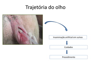 Trajetória do olho




            Inseminação artificial em suínos



                        Cuidados



                     Procedimento
 