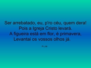 Ser arrebatado, eu, p'ro céu, quem dera!
Pois a Igreja Cristo levará.
A figueira está em flor, é primavera,
Levantai os vossos olhos já.
P.L.M.
 