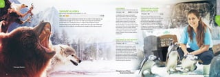 { Penguins on a Plane:
	 Great Animal Moves }
SAVAGE ALASKA
PRODUCED BY PARTHENON ENTERTAINMENT LTD. / 2011
1 X 60
Alaska ...