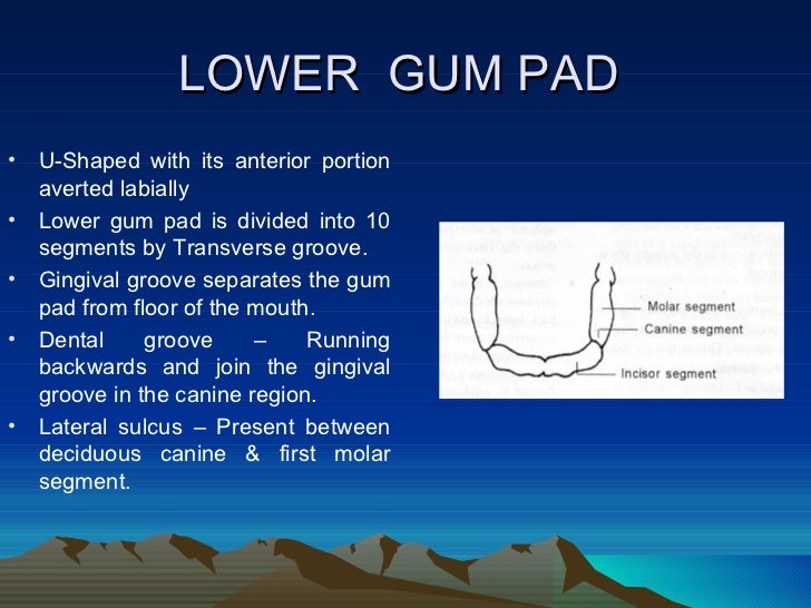 predentate period pedo