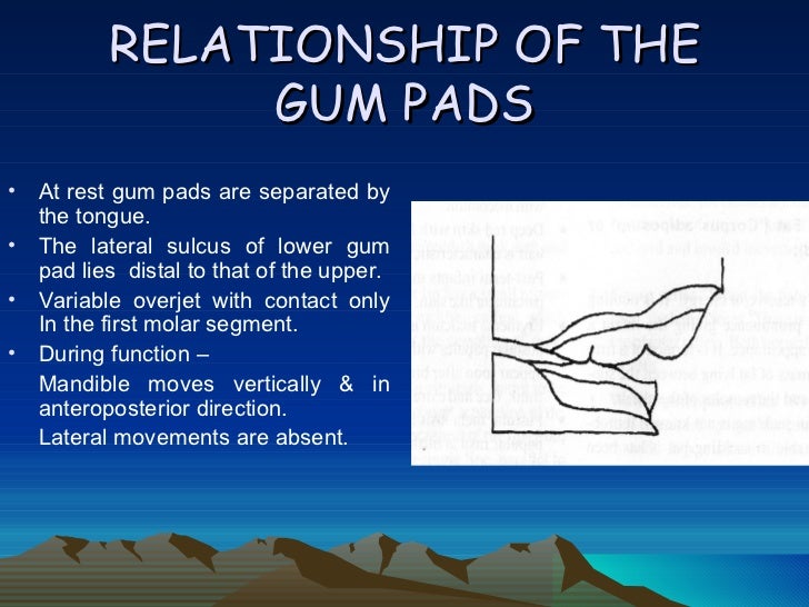 predentate period pedo