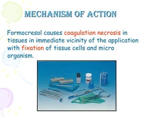 Mechanism of action Formocresol causes  coagulation necrosis  in tissues in immediate vicinity of the application with  fixation  of tissue cells and micro organism. 