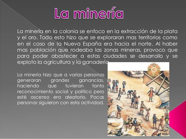 Actividades Económicas y Organización Social en la Nueva