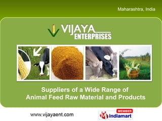 Maharashtra , India Suppliers of a Wide Range of  Animal Feed Raw Material and Products 