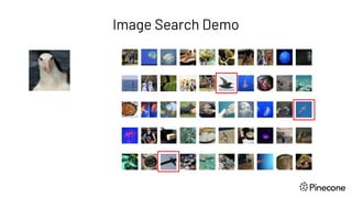 Image Search Demo
 