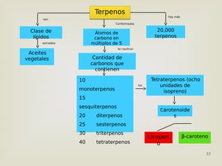33
Terpenos
Terpenos
Aceites
vegetales
20,000
terpenos
Átomos de
carbono en
múltiplos de 5
Clase de
lípidos
Clase de
lípidos
10
monoterpenos
15
sesquiterpenos
20 diterpenos
25 sesterpenos
30 triterpenos
40 tetraterpenos
Cantidad de
carbonos que
contienen
Carotenoide
s
Tetraterpenos (ocho
unidades de
isopreno)
Licopen
o
β-caroteno
son
Conformados
los
hay más
Se clasifican
extraídos
 