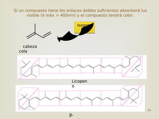 34
Si un compuesto tiene los enlaces dobles suficientes absorberá luz
visible (λ máx > 400nm) y el compuesto tendrá color.
cabeza
cola
v
Licopen
o
Licopen
o
β-
Isopren
o
Isopren
o
 