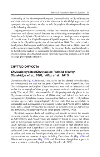 Systematics and evolution of fungi 1st ed Edition J K Misra | PDF