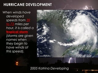 When winds have
developed
speeds from 39
to 73 miles per
hour, it is called a
tropical storm
(storms are given
names when
they begin to
have winds of
this speed).
HURRICANE DEVELOPMENT
2005 Katrina Developing
 