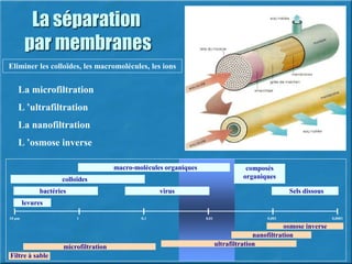 La séparation
par membranes
Eliminer les colloïdes, les macromolécules, les ions
La microfiltration
L ’ultrafiltration
La nanofiltration
L ’osmose inverse
macro-molécules organiques composés
organiques
colloïdes
bactéries
levures
Sels dissous
Filtre à sable
microfiltration
nanofiltration
virus
10 μm 1 0,1 0,01 0,001 0,0001
ultrafiltration
osmose inverse
 