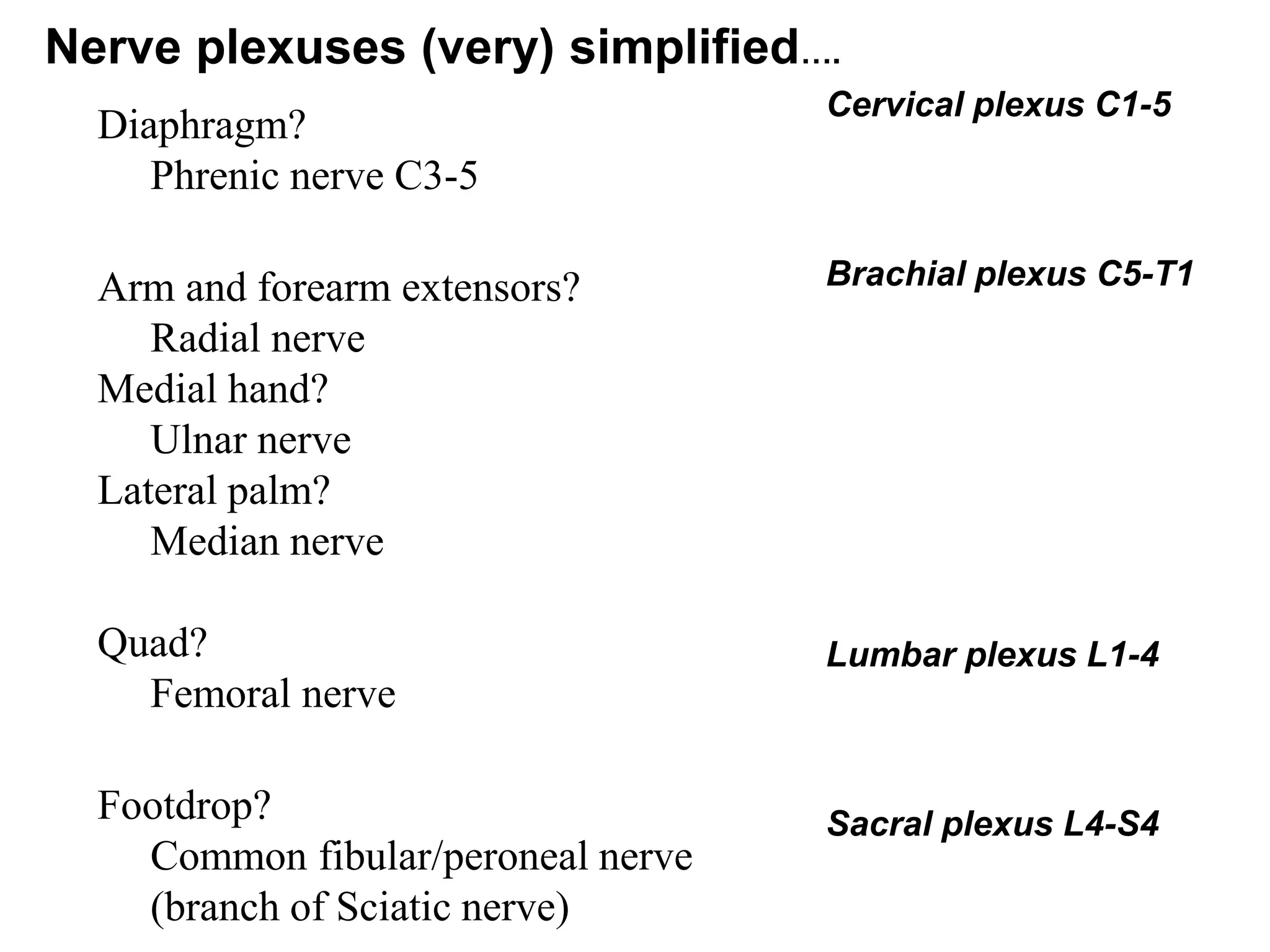Diaphragm?
Phrenic nerve C3-5
Arm and forearm extensors?
Radial nerve
Medial hand?
Ulnar nerve
Lateral palm?
Median nerve
Quad?
Femoral nerve
Footdrop?
Common fibular/peroneal nerve
(branch of Sciatic nerve)
Cervical plexus C1-5
Brachial plexus C5-T1
Lumbar plexus L1-4
Sacral plexus L4-S4
Nerve plexuses (very) simplified….
 