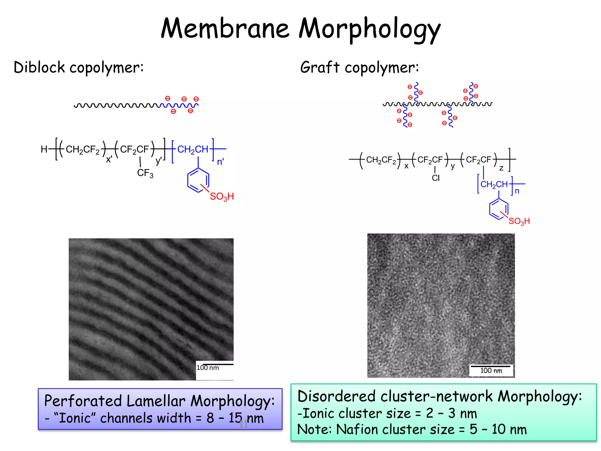 Membrane Morphology
Diblock copolymer:

H

CH2CF2

x'

Graft copolymer:

CF2CF

CH2CH
y'

n'

CF3

CH2CF2

x

CF2CF
Cl

y

CF2CF

z

CH2CH

SO3H

n

SO3H

100 nm

Perforated Lamellar Morphology:
- “Ionic” channels width = 8 – 15 nm
11

100 nm

Disordered cluster-network Morphology:
-Ionic cluster size = 2 – 3 nm
Note: Nafion cluster size = 5 – 10 nm

 