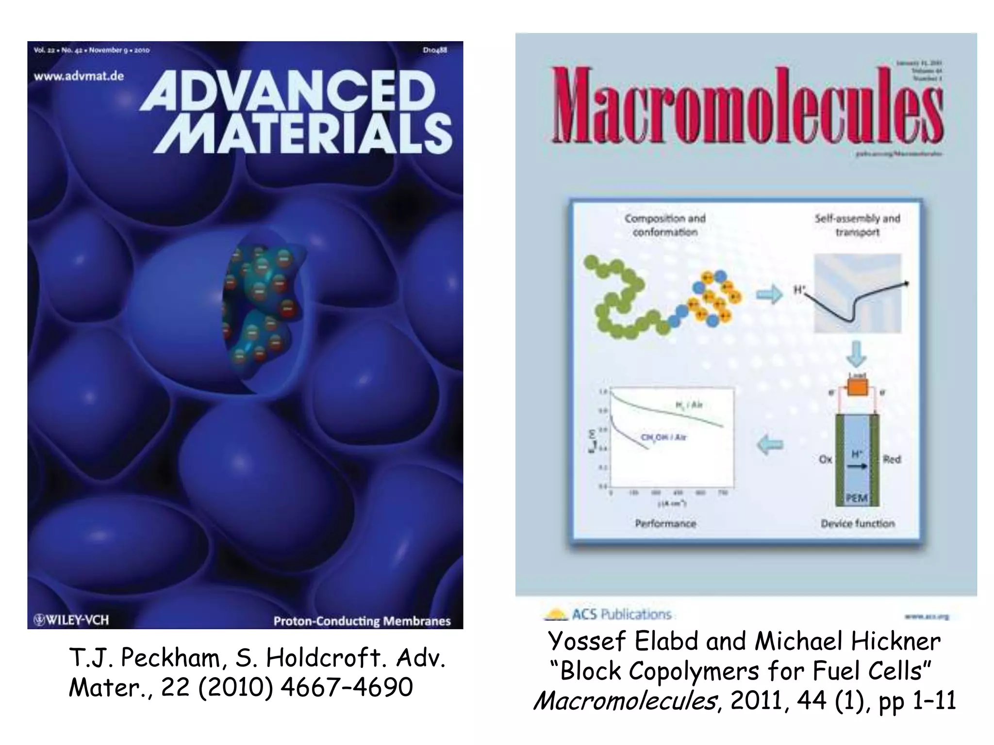 T.J. Peckham, S. Holdcroft. Adv.
Mater., 22 (2010) 4667–4690

Yossef Elabd and Michael Hickner
“Block Copolymers for Fuel Cells”
Macromolecules, 2011, 44 (1), pp 1–11

 