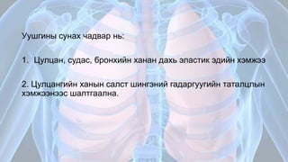 Амьсгалын эрхтэн тогтолцооны физиологи | PPT