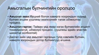 Амьсгалын эрхтэн тогтолцооны физиологи | PPT