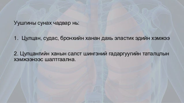 Амьсгалын эрхтэн тогтолцооны физиологи