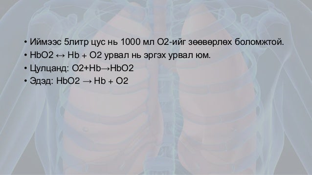 Амьсгалын эрхтэн тогтолцооны физиологи