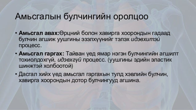 Амьсгалын эрхтэн тогтолцооны физиологи