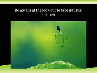Be always at the look out to take unusual
pictures.
 