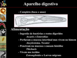 Aparelho digestivo
- Completo (boca e anus)
Alimentação
- Ingestão de bactérias e restos digeridos
Ascaris e Enterobius
- Perfuram a mucosa intertinal mas vivem no lúmem
Ancylostoma, Necator
- Penetram na mucosa e causam histólise
Thichuris
- Vivem nos tecidos
Estrongiloides e Larvas migrans
 