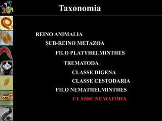 Taxonomia
REINO ANIMALIA
SUB-REINO METAZOA
FILO PLATYHELMINTHES
TREMATODA
CLASSE DIGENA
CLASSE CESTODARIA
FILO NEMATHELMINTHES
CLASSE NEMATODA
 