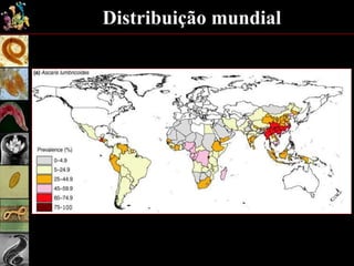 Distribuição mundial
 