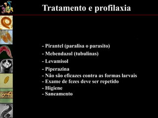 Tratamento e profilaxia
- Pirantel (paralisa o parasito)
- Mebendazol (tubulinas)
- Levamisol
- Piperazina
- Não são eficazes contra as formas larvais
- Exame de fezes deve ser repetido
- Higiene
- Saneamento
 