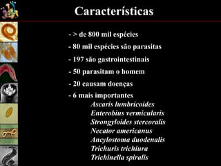 Características
- > de 800 mil espécies
- 80 mil espécies são parasitas
- 197 são gastrointestinais
- 50 parasitam o homem
- 20 causam doenças
- 6 mais importantes
Ascaris lumbricoides
Enterobius vermicularis
Strongyloides stercoralis
Necator americanus
Ancylostoma duodenalis
Trichuris trichiura
Trichinella spiralis
 