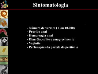 Sintomatologia
- Número de vermes ( 1 ou 10.000)
- Prurido anal
- Hemorragia anal
- Diarréia, colite e emagrecimento
- Perfurações da parede do peritônio
- Vaginite
 