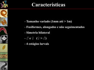 Características
- Tamanho variado (1mm até > 1m)
- Fusiformes, alongados e não seguimentados
- Simetria bilateral
- ♂ e ♀ (♀ > ♂)
- 4 estágios larvais
 