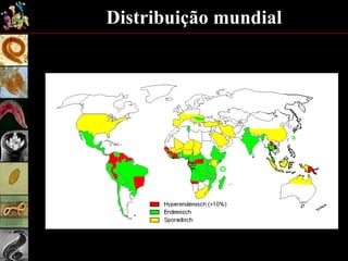 Distribuição mundial
 