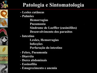 Patologia e Sintomatologia
- Lesões cutâneas
- Pulmões
Hemorragias
Pneumonia
Síndrome de Loeffler (eusinófilos)
Desenvolvimento dos parasitos
- Intestino
Lesões, Hemorragias
Infecções
Perfuração do intestino
- Febre, Pneumonia
- Diarréia
- Dores abdominais
- Eosinofilia
- Emagrecimento e anemia
 