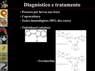 Diagnóstico e tratamento
- Procura por larvas nas fezes
- Coprocultura
- Testes imunológicos (90% dos casos)
- Tiabeldazol (adultos)
- Ivermectina
 