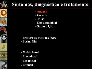 Sintomas, diagnóstico e tratamento
- Anemia
- Coceira
- Tosse
- Dor abdominal
- Subnutrição
- Procura de ovos nas fezes
- Eosinofilia
- Mebendazol
- Albendazol
- Levamisol
- Pirantel
 
